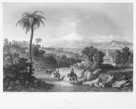 Incisione su acciaio, Reggio, W. Brockedon