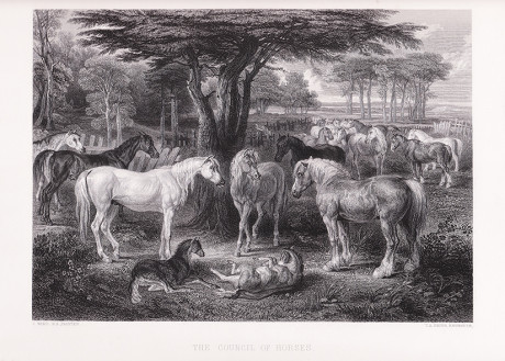 Il pascolo dei cavalli dalla Vernon Gallery