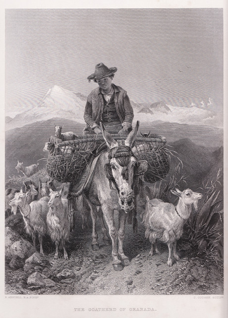 The Goatherd of Granada di C. Cousen