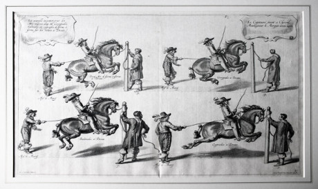 Guilleume Cavendish, “Methode et invention nouvelle de dresser les chavaux”