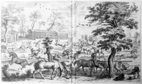 Guilleume Cavendish, “Methode et invention nouvelle de dresser les chavaux”