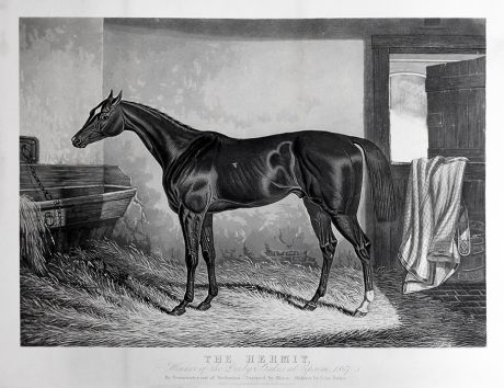 ‘The Hermit’, Winner of the Derby Stakes at Epsom 1867